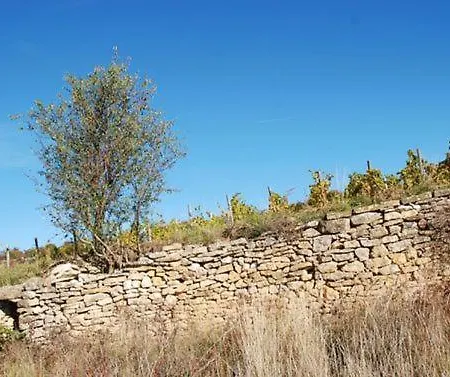 Vakantiehuis Vigneron Nature *
