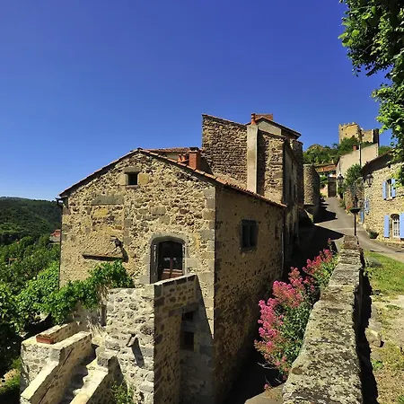 Vigneron Nature Montaigut-le-Blanc (Puy-de-Dome)