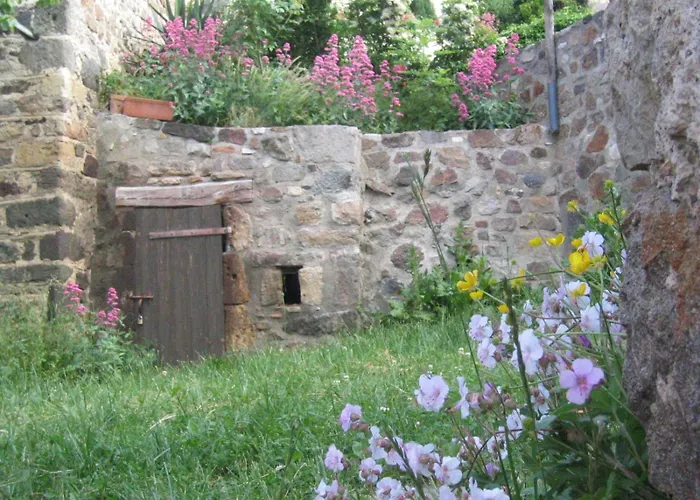 Vigneron Nature Montaigut-le-Blanc (Puy-de-Dome)